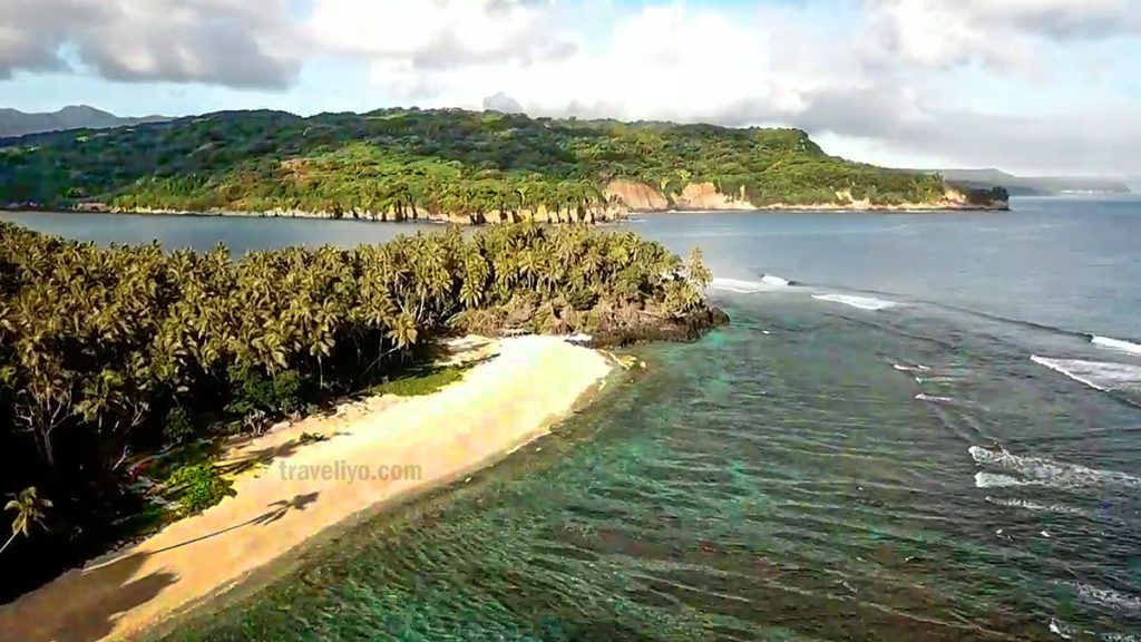 Aerial view of Tanna Island coast surrounded by coconut trees and coral reefs