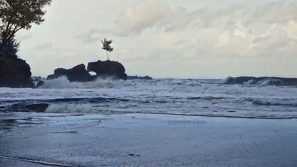 Unique rock formation on a black sand beach of Tanna Island, Vanuatu