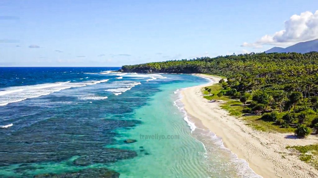 Vanuatu beaches on Tanna Island with palm trees and turquoise ocean