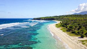 Vanuatu beaches on Tanna Island with palm trees and turquoise ocean