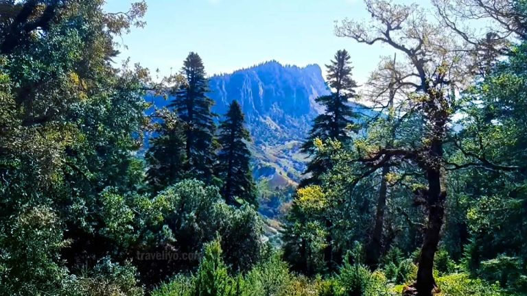 Talassemtane National Park: The Ultimate Rif Mountains Hiking Escape near Chefchaouen