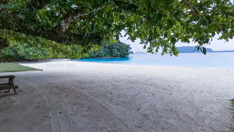 Champagne Beach Vanuatu white sand and turquoise sea view under tropical trees