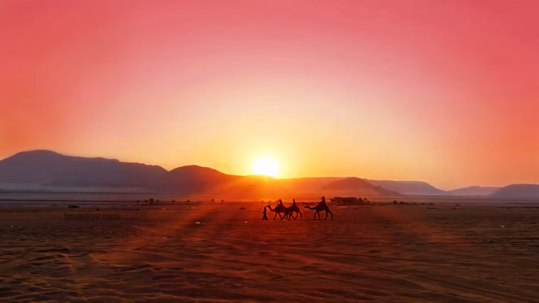 Desert safari Jordan sunset with camels in Wadi Rum desert