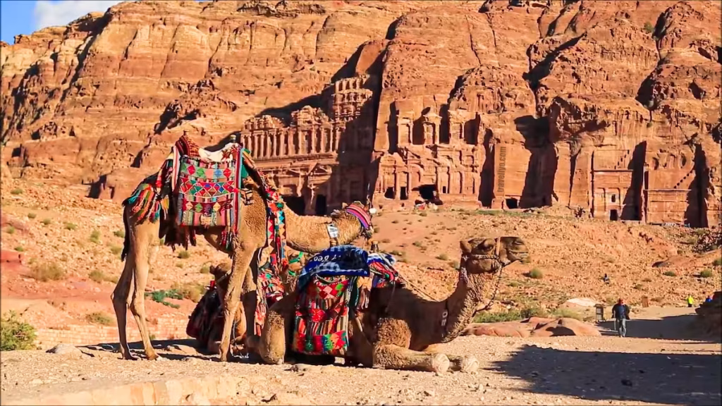 Two decorated Bedouin camels resting in the sand with the massive Royal Tombs of Petra in the background.