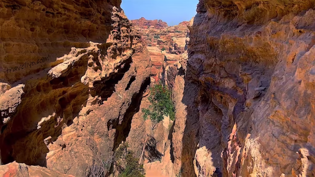 Interior sandstone canyon in Dana Biosphere Reserve, Jordan.