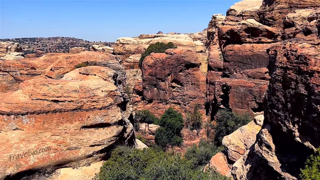 Unique rock formations and desert vegetation in Dana, Jordan.