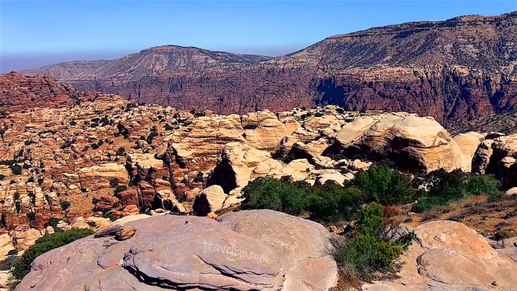 Deep limestone and sandstone canyons of Dana Nature Reserve.