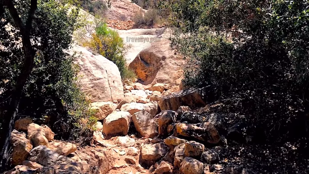 Professional landscape shot of the diverse terrain in Dana, Jordan.