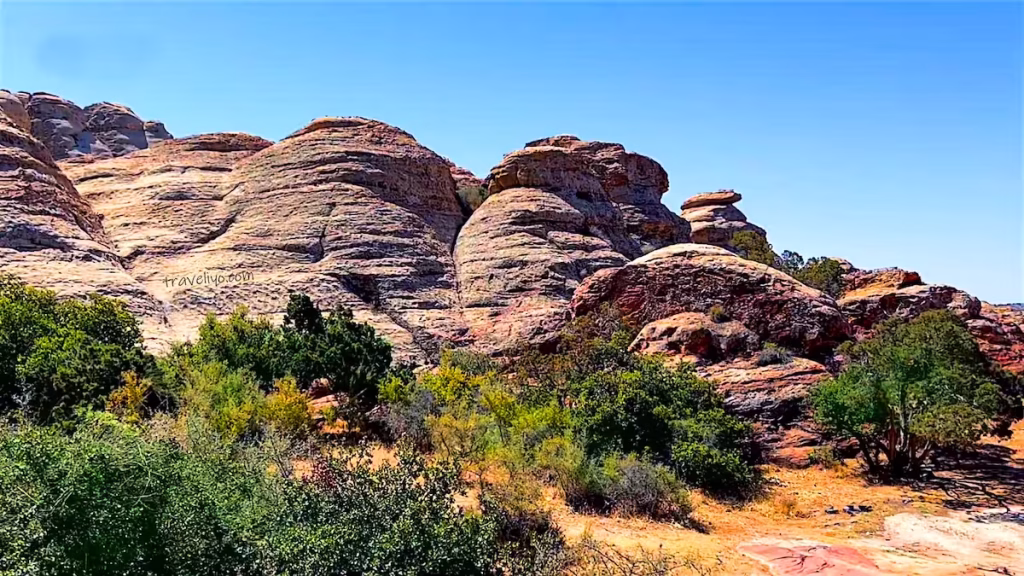 A winding hiking path through the Dana Biosphere Reserve landscape.