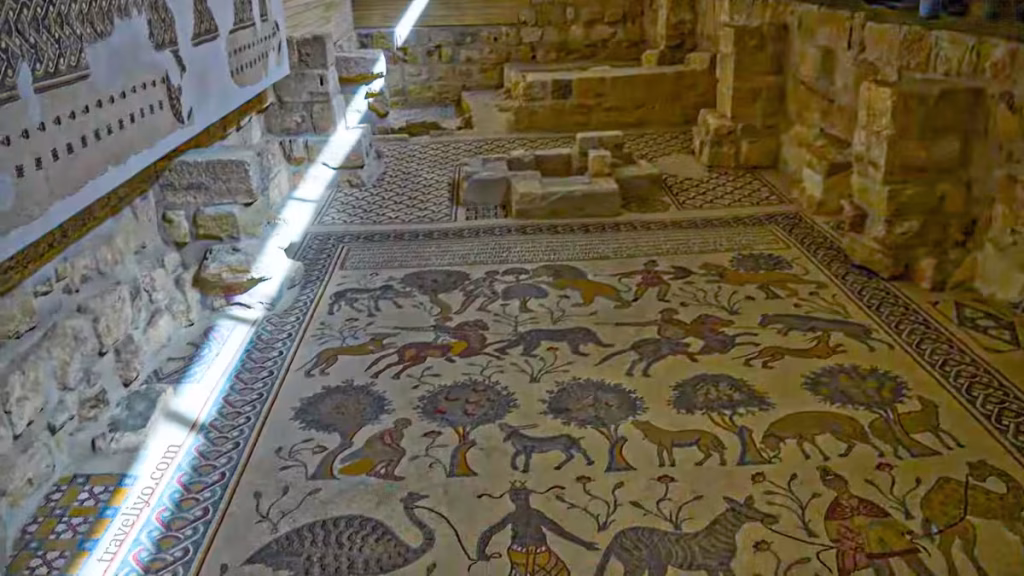 The famous hunting and pastoral mosaic floor dating back to 531 AD at Mount Nebo.