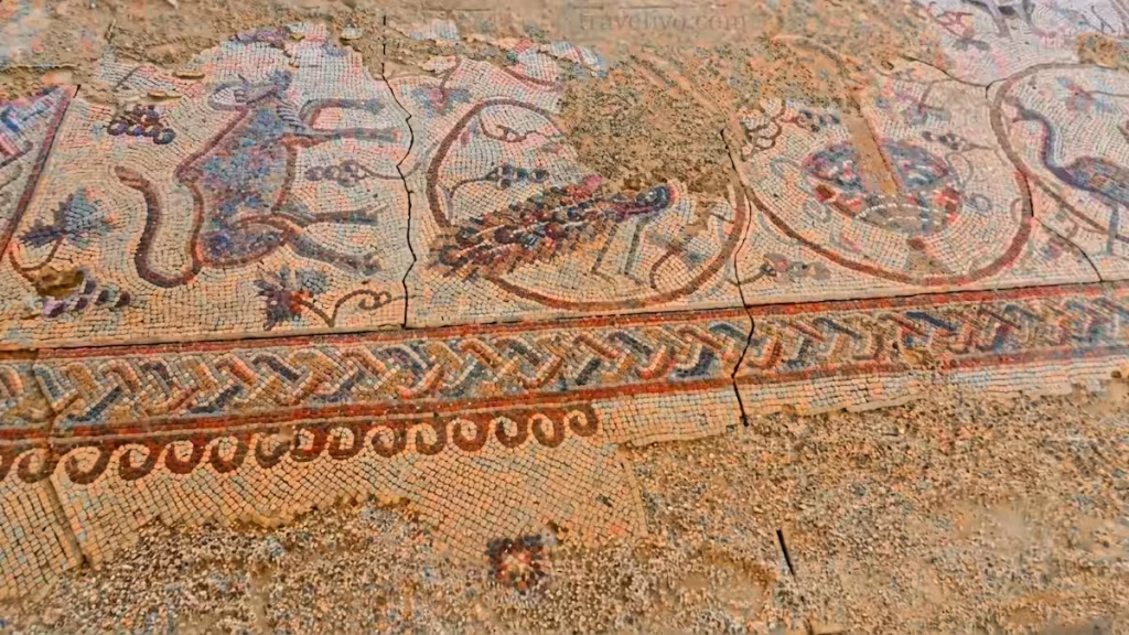 A detailed view of a lion and prey depicted in the ancient mosaic floor at Mount Nebo.